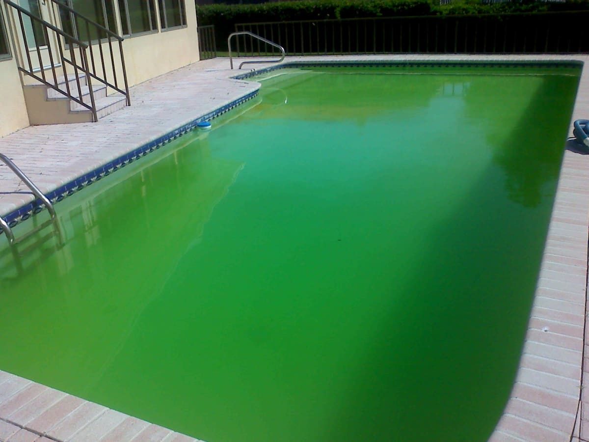 piscina verde